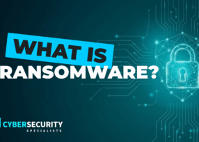 What is Ransomware